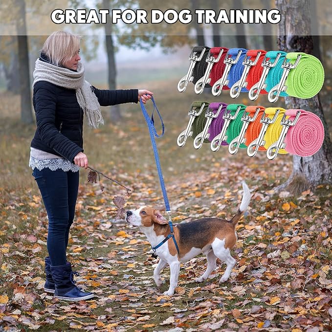 Hillban 12 Pcs Nylon Puppy Training Leash Bulk 5ft Dog Leash for House Line 12 Colors Puppy Line Traction Rope for Small Medium Dog Training, Play, Camping, or Backyard(Bright Colors)
