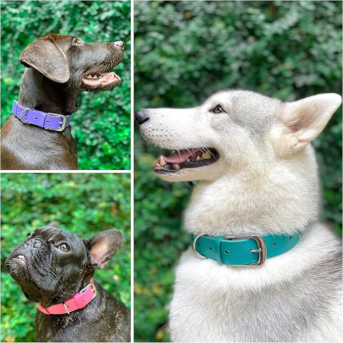 Tuff Pupper Classic Heavy Duty Dog Collar | 10x Stronger Than Leather | 100% Waterproof & Odor Proof Dog Collar | Tough Rust-Proof All Metal Hardware