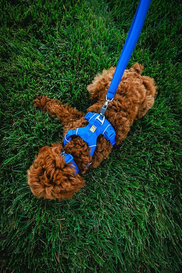 Ruffwear, Front Range Dog Collar, Adjustable Tubelok Webbing, Lightweight, Side Release Buckle, Aluminum V-Ring, Durable for Everyday Use, Coastal Fade, 11"-14"