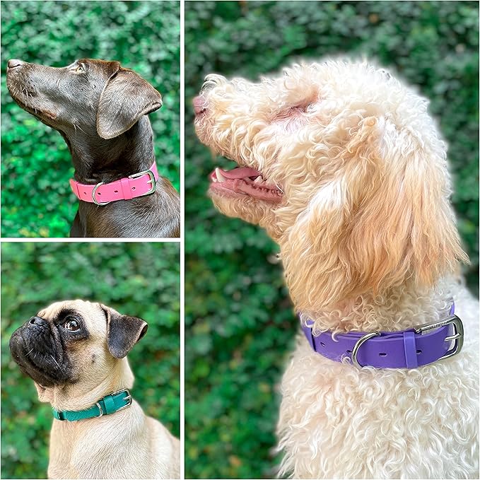 Tuff Pupper Classic Heavy Duty Dog Collar | 10x Stronger Than Leather | 100% Waterproof & Odor Proof Dog Collar | Tough Rust-Proof All Metal Hardware