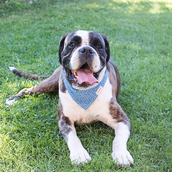 Pettsie Adjustable Dog Bandana Collar with Matching Owner Friendship Bracelet – Soft & Durable Hemp, Stylish Removable Scarf for Dogs, Gift-Ready Set for Pet Lovers, Small, Blue