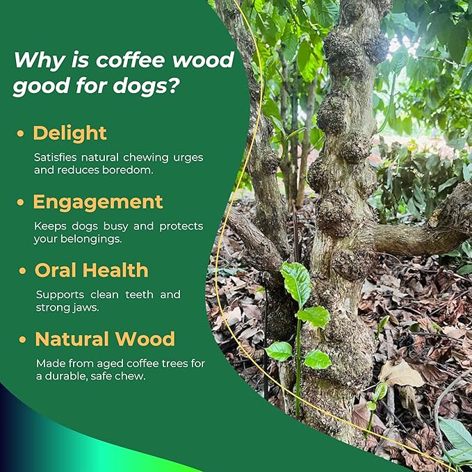 Set of 1 Coffee Wood Dog Chew Stick Toy for Dog, Natural and Real Wooden Bone Sticks for Pets, Safe Dental Cleaning Chews, Pets Health, Teeth Cleaning and Relieve Stress (Medium)