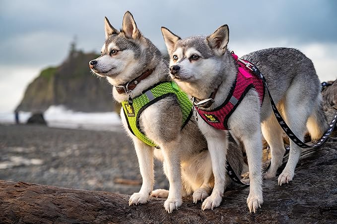 EcoBark Step in Dog Harness - Eco-Friendly Teacup Dog Harnesses for XXS, XS, and Small Dogs - Reflective and Adjustable Mini Body Halter Vest -Tiny Soft Mesh Toy Breed Harness (Fuchsia Pink, XXS)