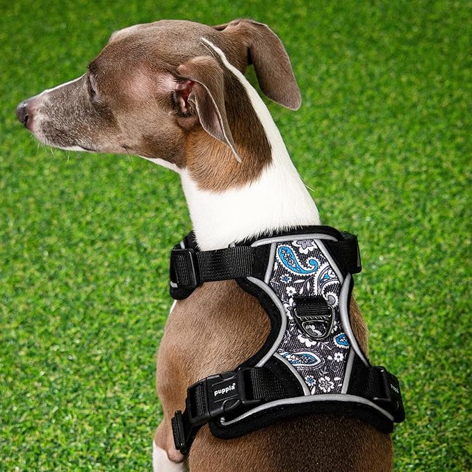 Puppia Cynthia Dog Harness H Sturdy Adjustable Neck and Chest Reflective Flower Pattern Front and Back D-Ring for Small and Medium Dogs, Black, Medium
