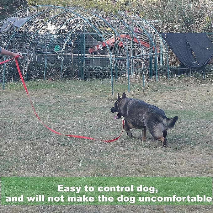 Strong Durable Nylon Dog Training Leash, 1 Inch Wide Traction Rope, 6 ft Long, for Small and Medium Dog (Black, 6 Feet)