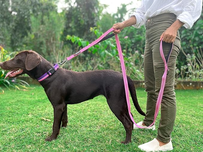 Tuff Pupper Heavy Duty Double Handle Leash | Twist Locking Carabiner Clip | Safety Lock for Strong Dogs | Reflective for Safe Night Walks | 6 Foot Leash for Medium & Large Dogs