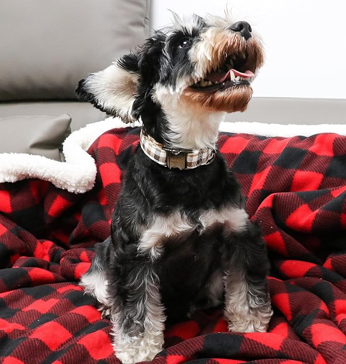 Unique style paws Dog Collar Metal Buckle Gift for Small Medium Large Boys Girls Dogs, brown plaid, XL