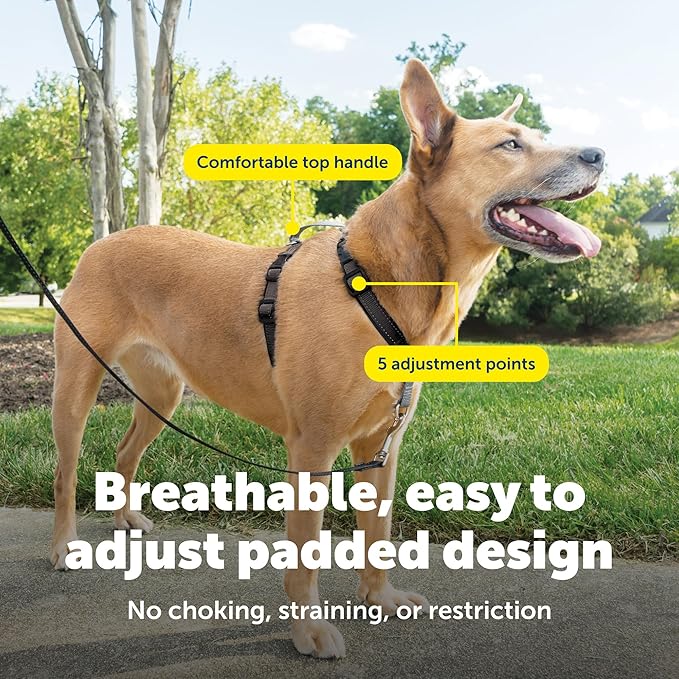 PetSafe 3-in-1 Harness - Comfortable Easy-Walk Dog Chest Harness with Front Leash Attachment to Reduce Pulling, Choking & Gagging - Dog Obedience Gear - Medium - Black