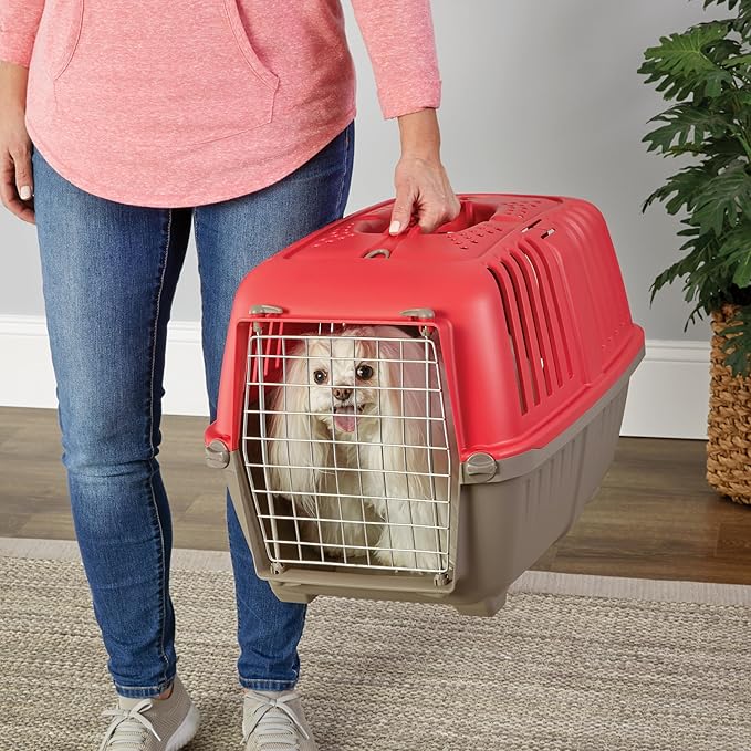 MidWest Homes for Pets Spree Travel Carrier ??Hard-Sided Dog & Cat Carrier, Small Pet Travel Crate with Handle, Ventilated Design, Easy Assembly, 24-Inch, Red