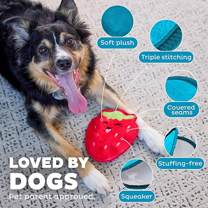 Outward Hound Tough Skinz Durable Squeaky Dog Toy with Two Tough Layers, Strawberry, Red, Medium
