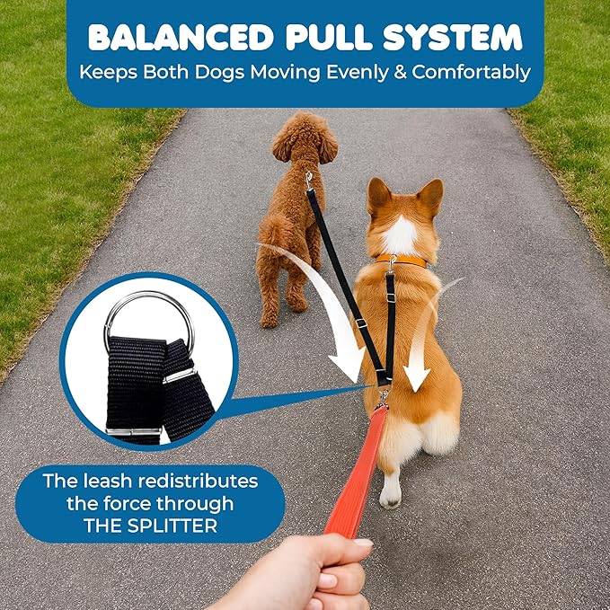 SunGrow 16-24" Adjustable Double Dog Walker Leash, Lightweight Dual Lead with 360째 Swivel Zinc-Alloy Clips, Durable Polypropylene Strap, Fits Small to Medium Breeds, Ideal for Daily Walks & Training