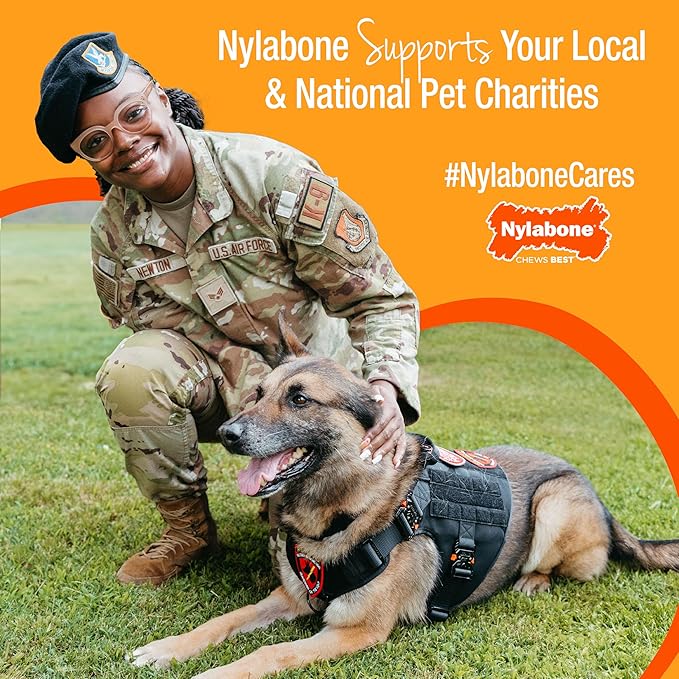 Nylabone Healthy Edibles Natural Dog Chews Long Lasting Roast Beef Flavor Treats for Dogs, Medium/Wolf (2 Count) (Pack of 3)