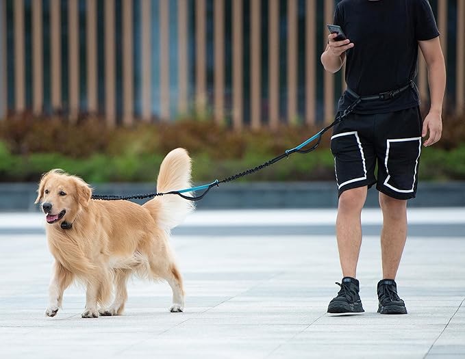 iYoShop Hands Free Dog Leash with Zipper Pouch, Dual Padded Handles and Durable Bungee for Walking, Jogging and Running Your Dog (Medium, 8-25 lbs, Blue)