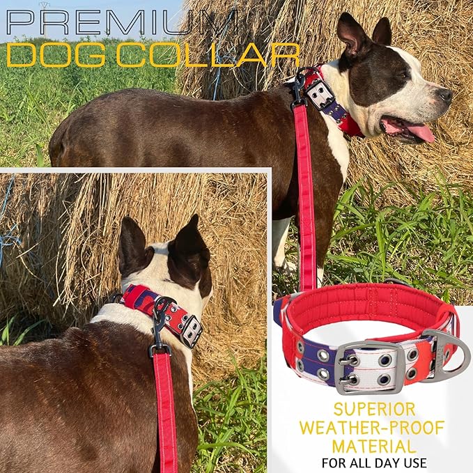 ADITYNA Heavy Duty Dog Collar for Medium Dogs - Camo Red Blue Collar with Handle for Training, and Walking - Wide, Thick, Tactical, Soft Neoprene Padded