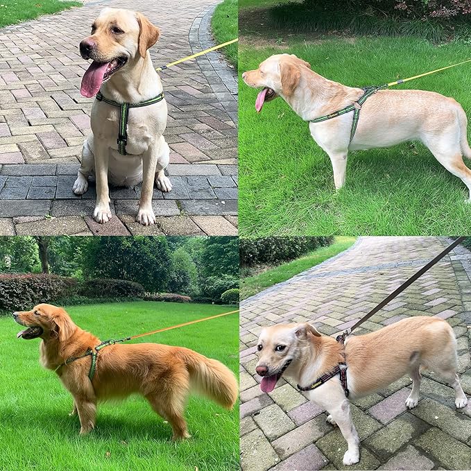 No Pull Dog Harness with Reflective Adjustable,Stops Pets from Pulling and Choking On Walks for Large Dogs (Green, XXL)