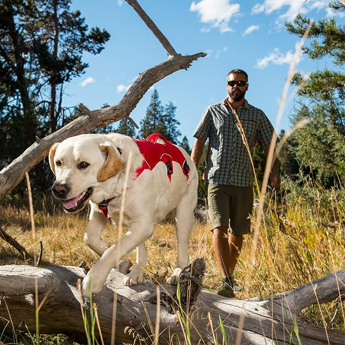 Ruffwear, Web Master, Multi-Use Support Dog Harness, Hiking and Trail Running, Service and Working, Everyday Wear, Twilight Gray, Large/X-Large