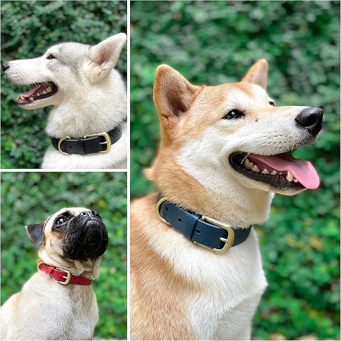 Tuff Pupper Classic Heavy Duty Dog Collar | 10x Stronger Than Leather | 100% Waterproof & Odor Proof Dog Collar | Tough Rust-Proof All Metal Hardware
