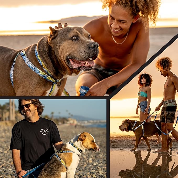 Wolfgang Heavy Duty Adjustable Dog Harness, Pull-Tested to Over 800 lbs for Walking & Training, DawnPatrol Print, Small