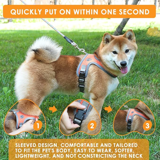 Dog Harness and Leash Set, No Pull Saddle Style Pet Harness, Breathable Mesh Adjustable Reflective Dog Vest for Dogs and Cat Medium Small Harness 2 D-Rings (Orange, M)