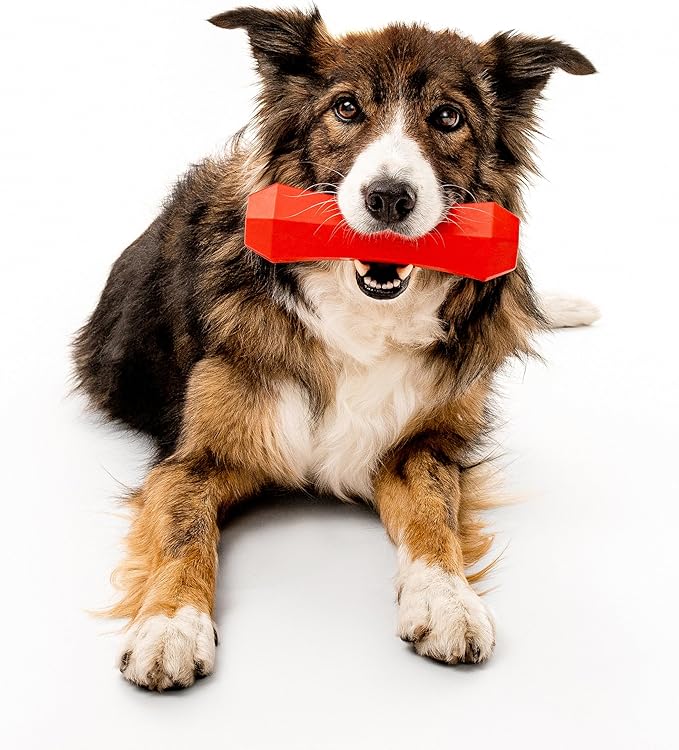 Playology Dog Toys | Durable Squeaky Chew Stick for Dogs | Jumbo Beef Scented Toy - Easy to Clean and Made from Non Toxic Materials