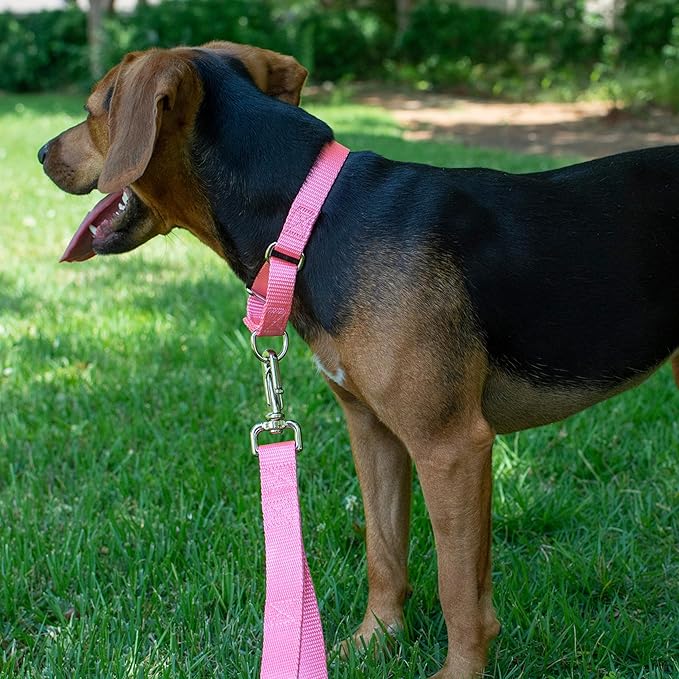 Country Brook Petz - Martingale Dog Collar - Heavy-Duty Training Collar with No Buckle - Service Dog Collar for All Pups - 10+ Warm Colors (Pink, 1 Inch, Medium)