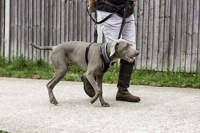 Halti No Pull Harness - Stop Your Dog Pulling on The Leash. Adjustable, Lightweight and Easy to Use. Reflective Dog Training Harness for Large Dogs (Size L, Black)