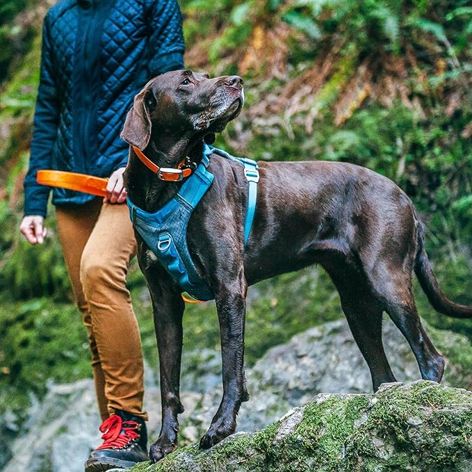 Kurgo Journey Air Dog Harness - Secure Fit for Active Dogs - Padded Chest - Lightweight Ripstop Fabric - Breathable Mesh - Reflective Trim - Back Assist Handle - Black - Large