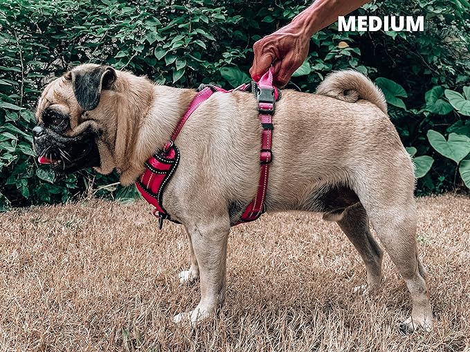 Tuff Pupper No Pull Easy Walk Dog Harness | Heavy Duty Pet Vest | Front & Back Leash Clips | Strong Safety Handle | Reflective Anti Pull Vest | Comfortable Padded Escape Proof Harness (Medium, Pink)