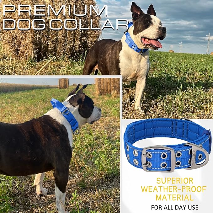 ADITYNA Heavy Duty Dog Collar for Medium Dogs - Reflective Blue Collar with Handle for Training, and Walking - Wide, Thick, Tactical, Soft Neoprene Padded