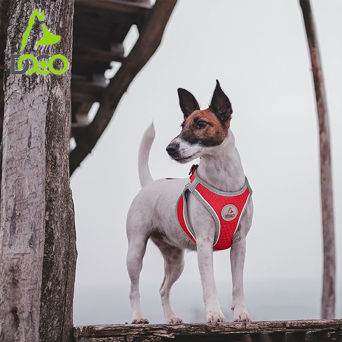 DOCO Dog Harness for Large Sized Dog - Athletica Adjustable, No Pull, No Choke, Puppy Vest Lightweight Air Mesh, Reflective, Puppy Essentials - Orange, Medium (Chest 16"-17", Weight 10-15 lbs)