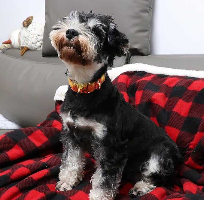 Unique style paws Halloween Dog Collar Metal Buckle Orange Pumpkin Collar Gift Durable Cute Collar for Small Medium Large Boys Girls Dogs