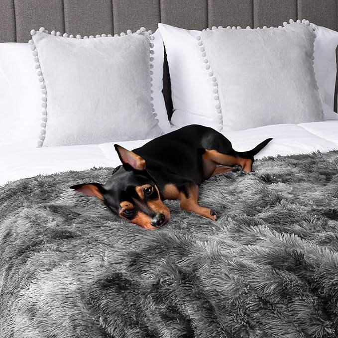 PetAmi Waterproof Dog Blanket for Small Medium Dogs, Calming Fleece Cat Blanket, Couch Protector Washable Sherpa Faux Fur Pet Throw for Puppy, Soft Reversible 29x40 Tie-Dye Gray
