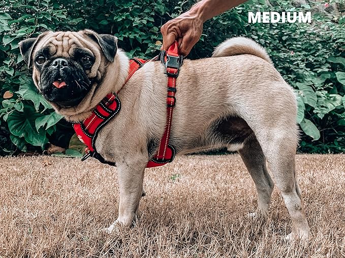 Tuff Pupper No Pull Easy Walk Dog Harness | Heavy Duty Pet Vest | Front & Back Leash Clips | Strong Safety Handle | Reflective Anti Pull Vest | Comfortable Padded Escape Proof Harness (Medium, Red)