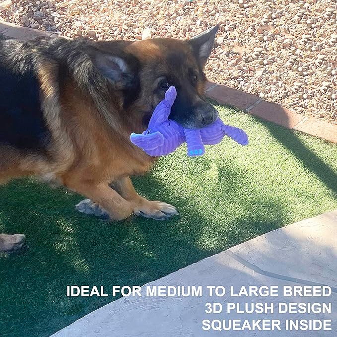Jalousie Multipack Dog Squeaky Toys Strong Almost Indestructible, with Added Liner for Longer Play Dog Chew Toys (Medium to Large Breeds, 5 Pack Corduroy)