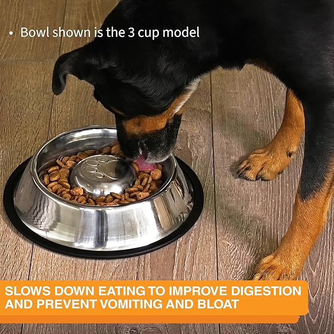 Neater Pet Brands Stainless Steel Slow Feed Bowl - Non-Tip & Non-Skid - Stops Dog Food Gulping, Bloat, Indigestion, and Rapid Eating (.75 Cup)