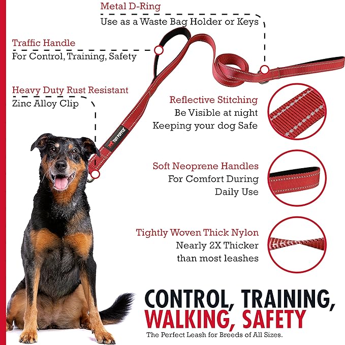 Tuff Pupper Heavy Duty Double Handle Leash - Twist Lock Carabiner Clip for Strong Medium & Large Dogs - Reflective, 6FT