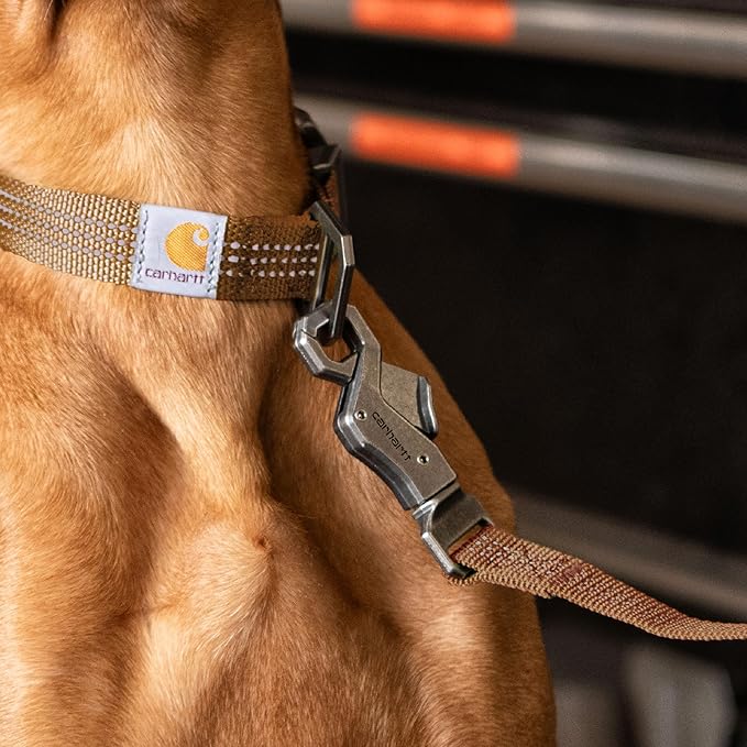 Carhartt Pet Durable Nylon Webbing Leashes for Dogs, Reflective Stitching for Visibility, Carhartt Brown (Nylon Webbing), Large