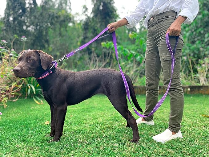 Tuff Pupper Heavy Duty Double Handle Leash | Twist Locking Carabiner Clip | Safety Lock for Strong Dogs | Reflective for Safe Night Walks | 6 Foot Leash | For Medium & Large Dogs