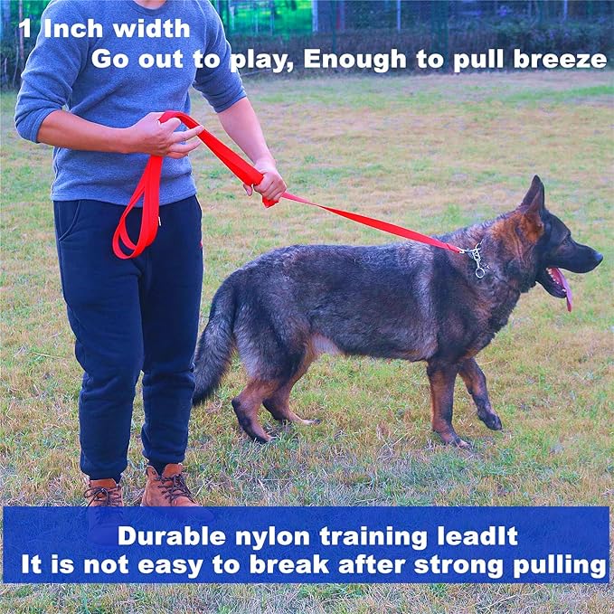 Strong Durable Nylon Dog Training Leash, 1 Inch Wide Traction Rope, 6 ft Long, for Small and Medium Dog (Black, 6 Feet)