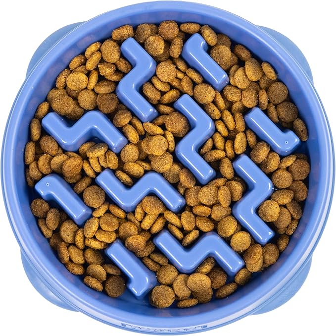 Outward Hound Fun Feeder Slo Bowl – Medium 2‑Cup Capacity, Slow Feeding, Small to Medium Dogs & Cats, Non-Slip, Blue, Notch Pattern