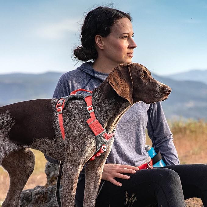 Kurgo Journey Air Dog Harness - Secure Fit for Active Dogs - Padded Chest - Lightweight Ripstop Fabric - Breathable Mesh - Reflective Trim - Back Assist Handle - Coral - Large