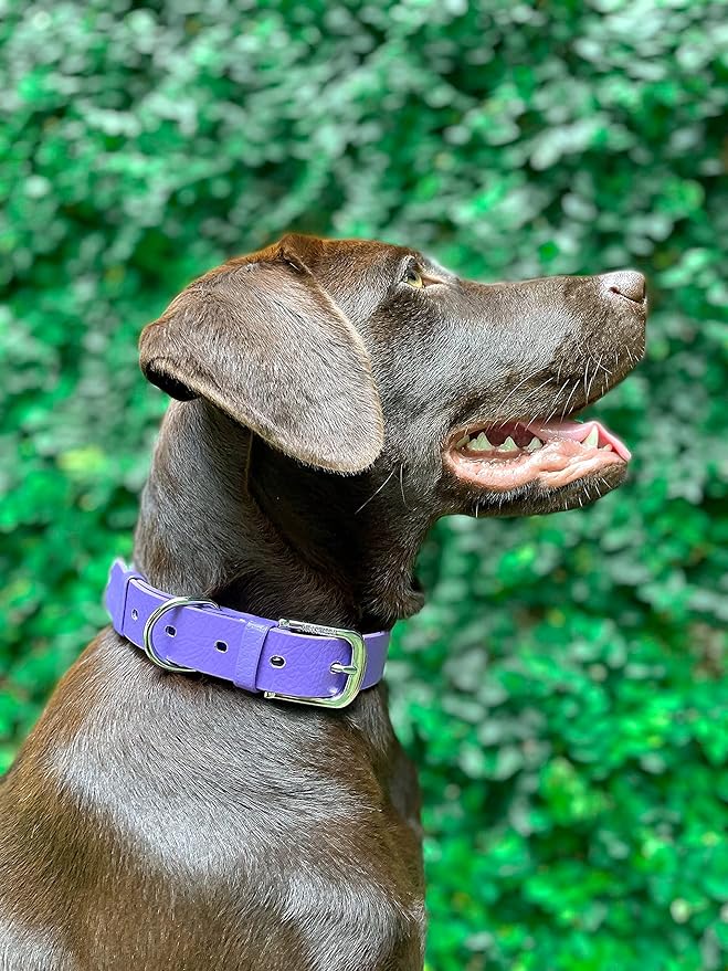 Tuff Pupper Classic Heavy Duty Dog Collar | 10x Stronger Than Leather | 100% Waterproof & Odor Proof Dog Collar | Tough Rust-Proof All Metal Hardware