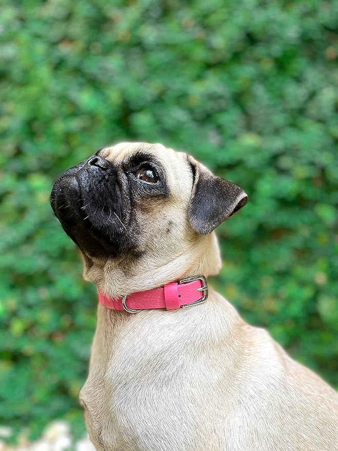 Tuff Pupper Classic Heavy Duty Dog Collar | 10x Stronger Than Leather | 100% Waterproof & Odor Proof Dog Collar | Tough Rust-Proof All Metal Hardware
