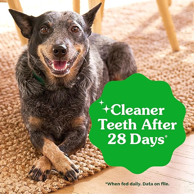 Greenies Veterinarian-Recommended Adult Natural Dental Dog Treats Large Size, Dog Dental Chews, Original Flavor, 12 oz. Pack, 8 Count