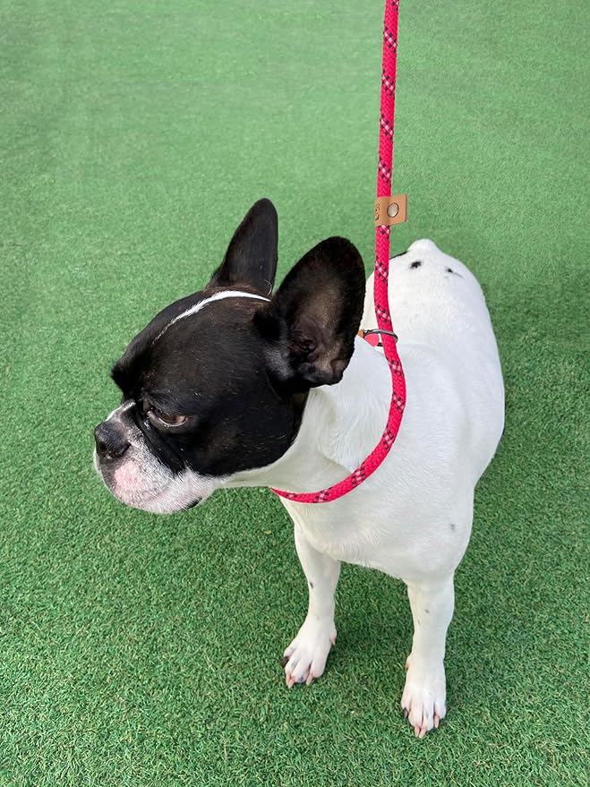 5 FT Slip Lead Dog Leash, Heavy Duty Rope Leash for Small Medium Large Dogs, No Pull Training Lead with Reflective Thread, Strong Comfortable Loop Leash (Red Stripe, Medium(3/8"))