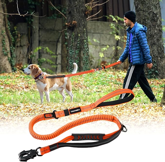 Heavy Duty Tactical Dog Leash with Quick Release Carabiner and Highly Reflective Threads,4-6FT Power Stretch Dog Leash for Medium Large Dogs