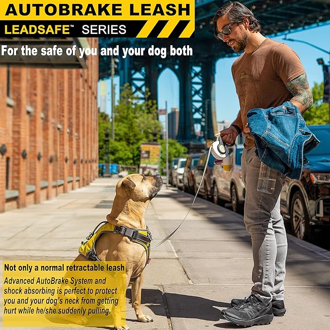 FIDA AutoBrake Retractable Dog Leash. Advanced Patented Design for Dog Pulling, 16 ft Heavy Duty No Pull Pet Walking Leash for Small Breeds. 360째 Tangle Free, Soft Grip, Small Size.