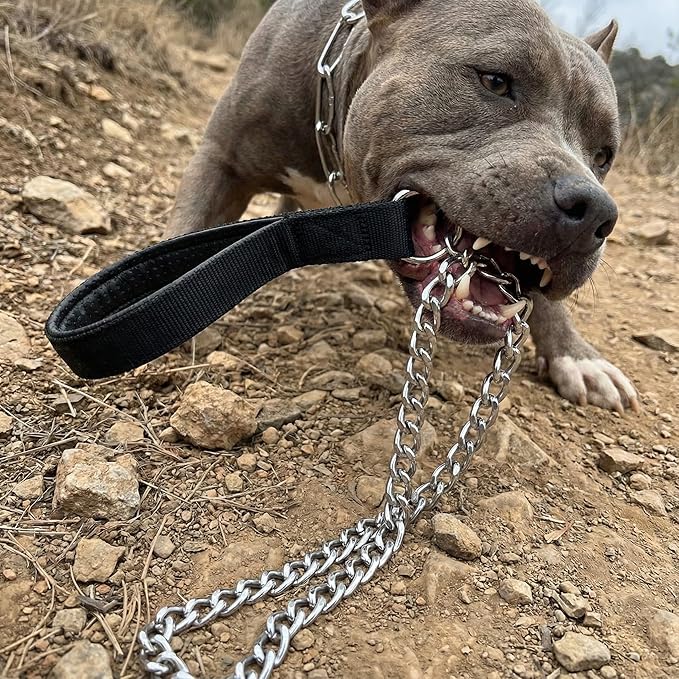 CtopoGo Heavy Duty Dog Leash,Metal Dog Chain Leash with Padded Handle for Large & Medium Size Dogs (4 ft. x 3.0 mm (0-80 lbs.))