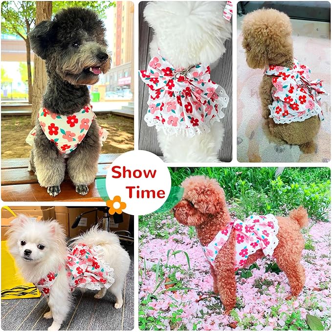 Cute Floral Dog Harness Dress and Leash Set for Small Dogs Cats Girl Puppy Bowknot Princess Birthday Dress Summer Female Pet Small Dog Clothes Lace Doggie Kitten Outfits Apparel(Red,XS)