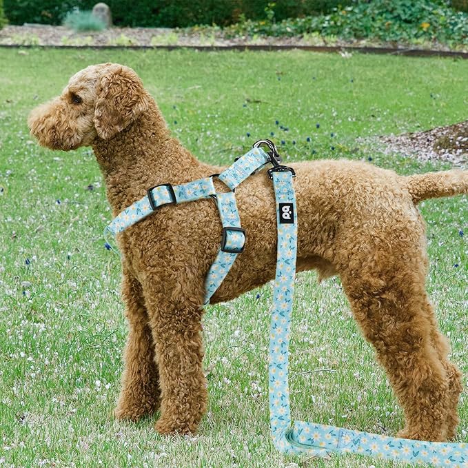 QQPETS Dog Harness Leash Set Adjustable Heavy Duty No Pull Halter Harnesses for Small Medium Large Breed Dogs Back Clip Anti-Twist Perfect for Walking